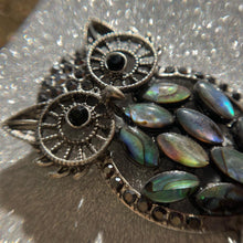 Load image into Gallery viewer, Owl Quad