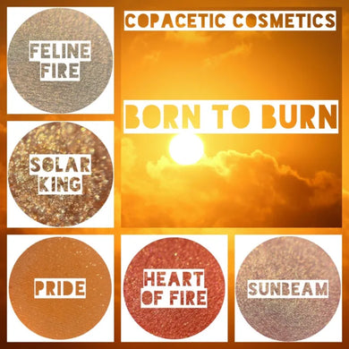 Born To Burn