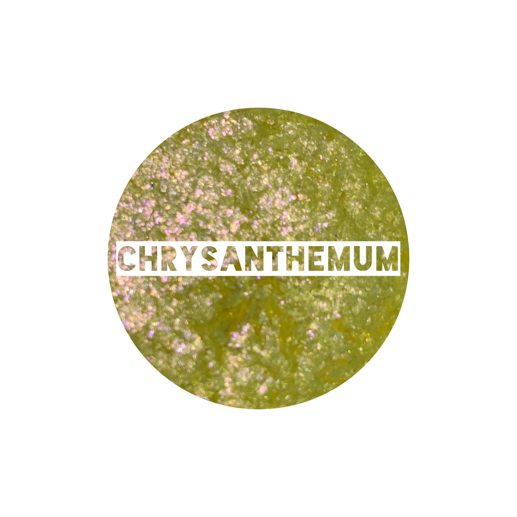 Chrysanthemum