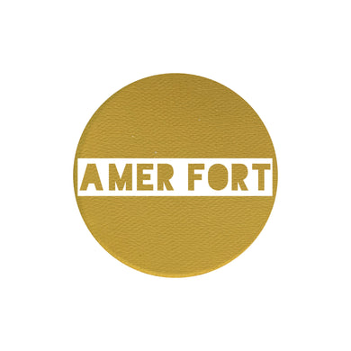 Amer Fort