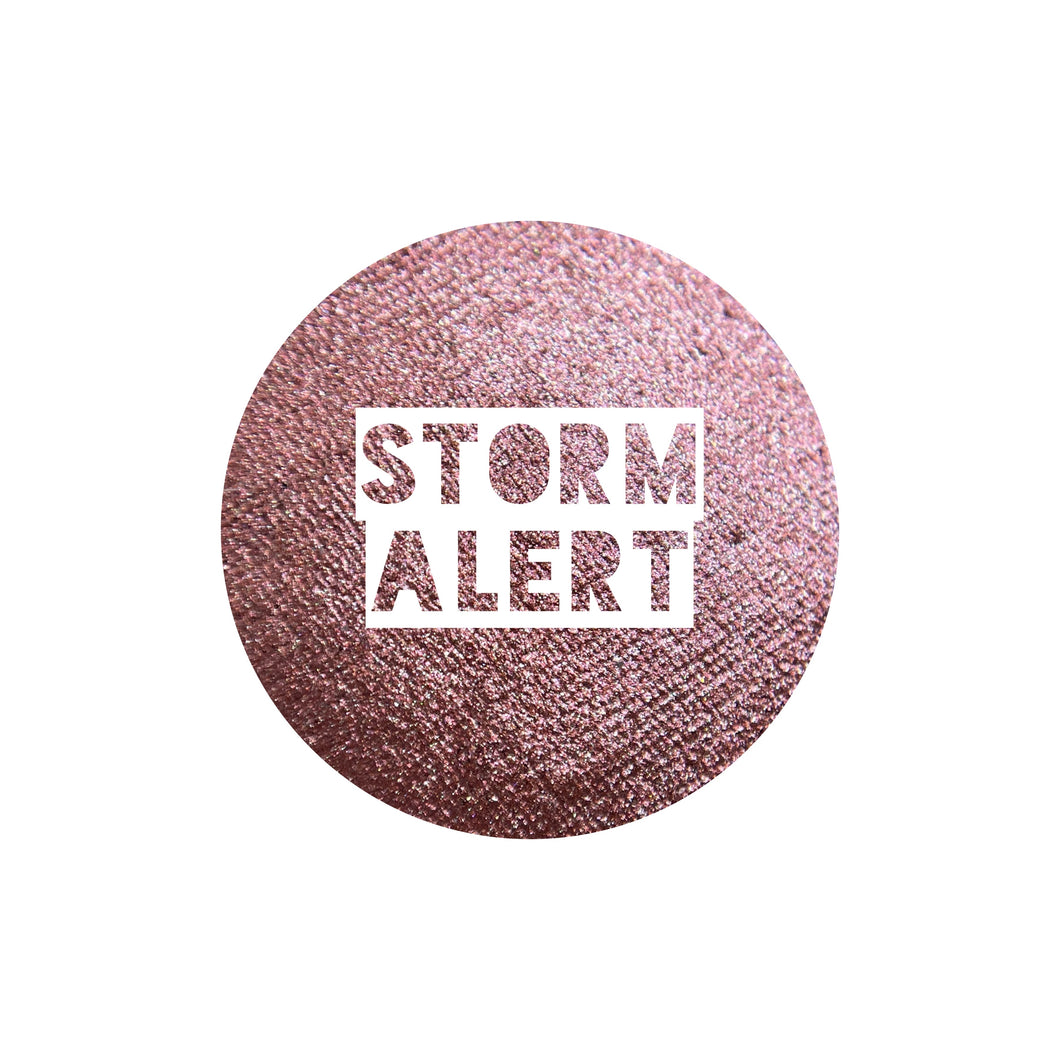 Storm Alert
