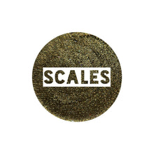 Load image into Gallery viewer, Scales