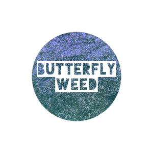 Butterfly Weed