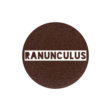 Load image into Gallery viewer, Ranunculus
