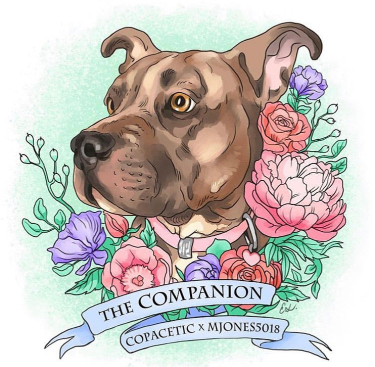 The Companion (@Mjones5018 Collaboration)
